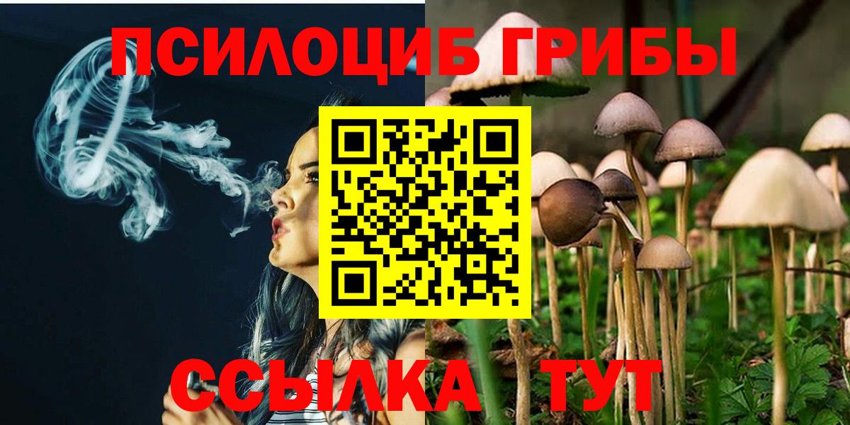 Галлюциногенные грибы MAGIC MUSHROOMS  Вход с VPN  Озёры 